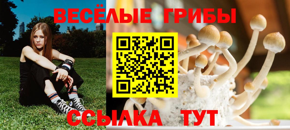Костомукша  Галлюциногенные грибы мухоморы  Вход с VPN 